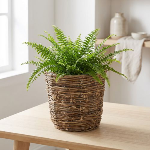 Cesta para plantas con diseño de enredadera, decorativa para macetas y centros de mesa. | Floristik24.es