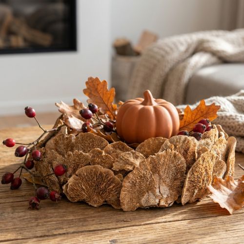 Artículo Esponja de árbol natural setas decorativas secas 6cm 1kg