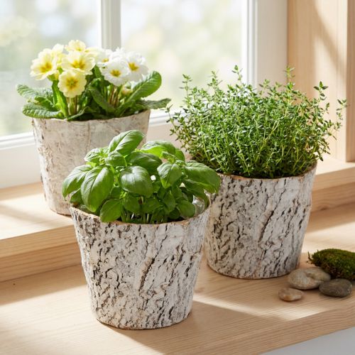 Maceta con aspecto de corteza, ideal para diseño interior rústico y decoración con plantas, 12 cm, 4 piezas | Floristik24.es