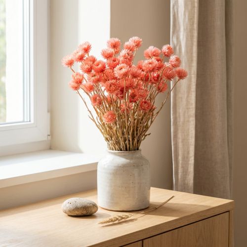 Flores secas flores de gorro flores de paja salmón Al.42cm | Floristik24.es