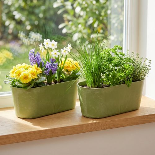 Cuenco para plantas ovalado verde cuenco plástico 27×11×10cm 3ud | Floristik24.es