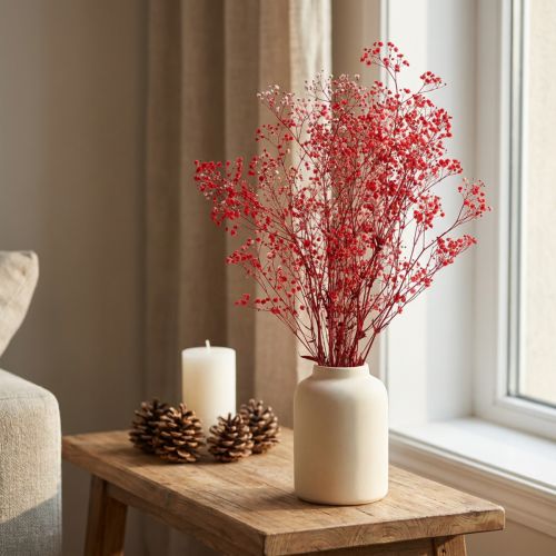 Gypsophila Gypsophila Flores Secas Rojas 50cm 55g | Floristik24.es