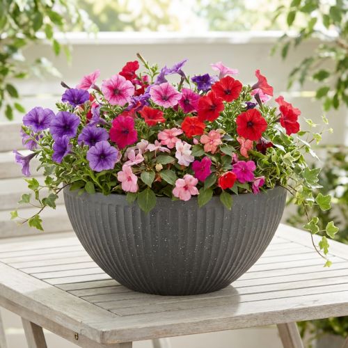 Macetero de plástico antracita Ø35cm H16,5cm | Floristik24.es