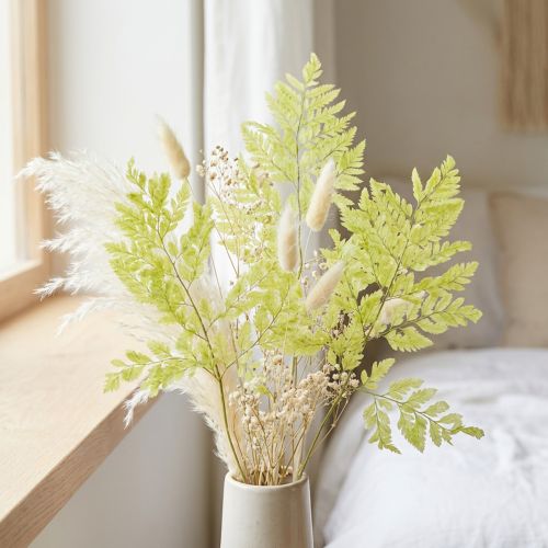 Helechos: Material natural preservado de alta calidad para proyectos de decoración duraderos, 40 cm, 10 piezas | Floristik24.es