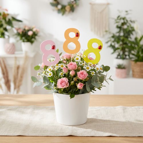 Número de aniversario "8" tapón numérico de colores madera 7,5 cm 16 piezas | Floristik24.es