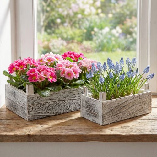 Jardinera rectangular de madera blanqueada 32x17/25x13cm juego de 2 | Floristik24.es
