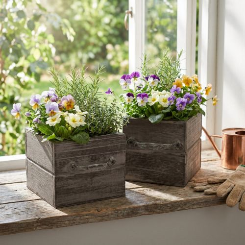 Jardineras para plantas con