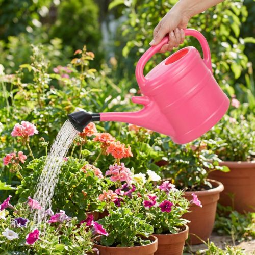 Regadera rosa de 10 litros