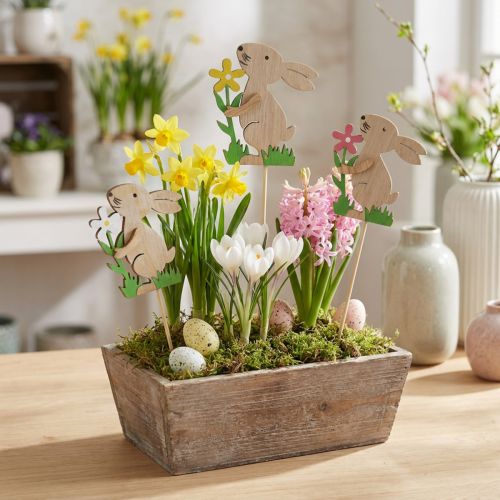 Plug floral conejito de madera 9cm 12uds | Floristik24.es