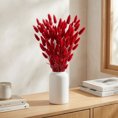 Hierba de cola de conejo (Lagurus) roja seca, 60 cm, 50 g, decoración de flores secas | Floristik24.es