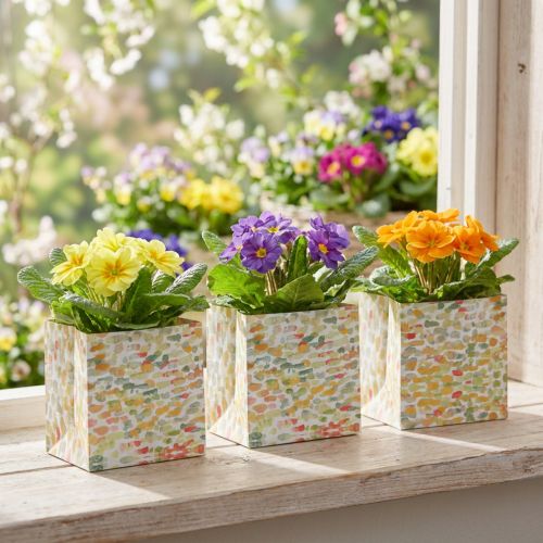 Artículo Bolsa de regalo bolsa de plantas bolsa de regalo estampada 12cm 8 piezas