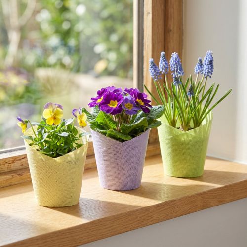 Maceta de papel tejido verde amarillo violeta Ø9cm H18cm 9 piezas | Floristik24.es