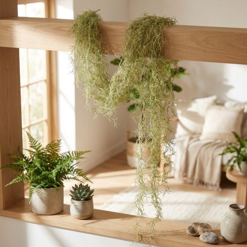 Tillandsia decorativa colgante Tillandsia artificial verde blanco 180cm | Floristik24.es