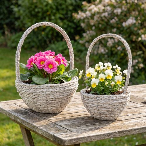 Cesta para plantas de 2 piezas, paja, natural, blanca, Ø23/28, estilo shabby chic | Floristik24.es