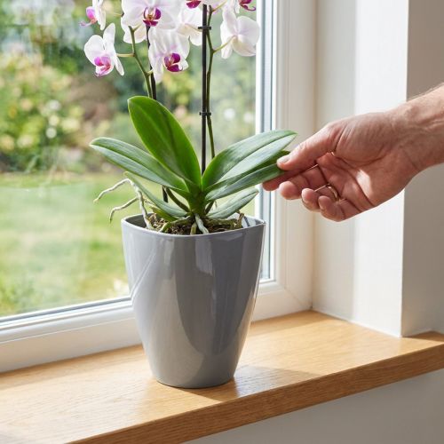 Maceta orquídea brillante Ø12,5cm gris 1 pieza | Floristik24.es
