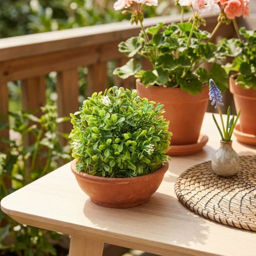 Mini bola de boj con flores bola de caja verde Ø10cm | Floristik24.es