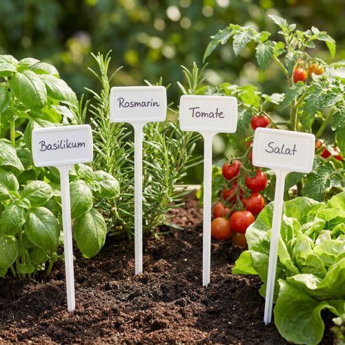 Etiqueta de planta para cambiar 40cm 10uds. | Floristik24.es