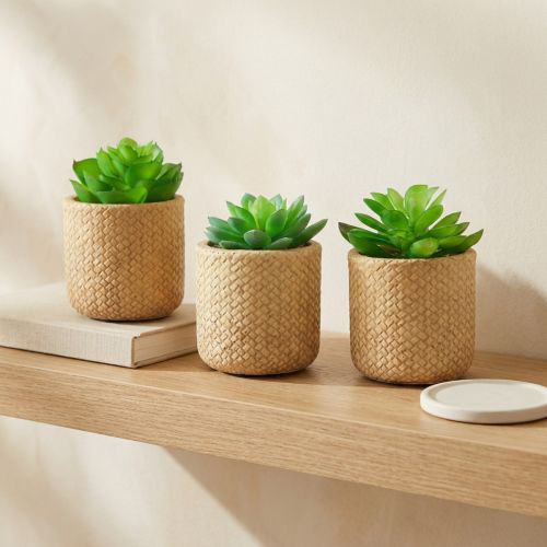 Suculentas Artificiales en Maceta Plantas Artificiales Surtidas 10cm 3uds | Floristik24.es