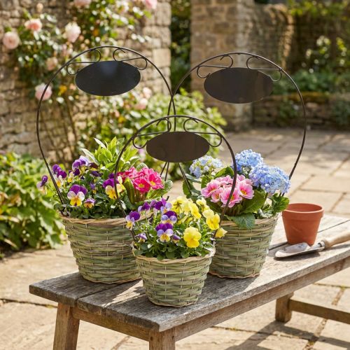 Cesta para flores con asa y cartel metálico, Ø23/20/17cm, juego de 3. | Floristik24.es