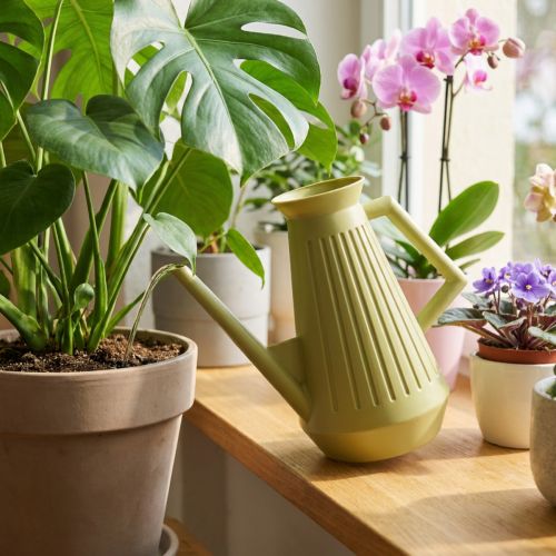 Regadera de interior, verde oliva, estilo retro, 24,5 cm, 1,8 L, regadera de diseño, plástico, riego de plantas | Floristik24.es