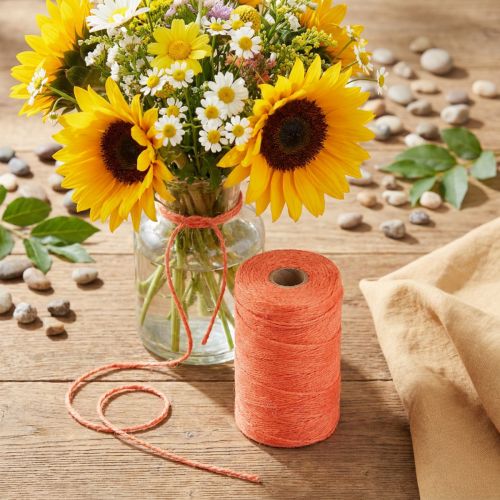 Cinta de yute cordón de yute cinta de yute naranja Ø2mm 200m | Floristik24.es
