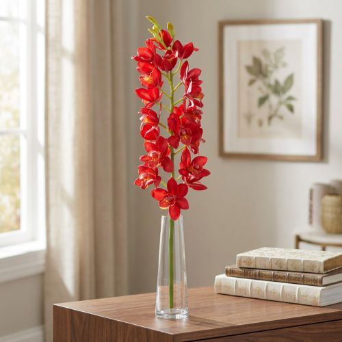 Orquídea cymbidium rojo 78cm | Floristik24.es