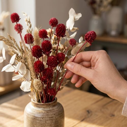 Artículo Globo amaranto Gomphrena Globosa en rojo oscuro L45cm 100g