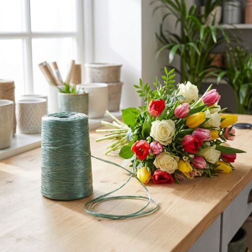 Rafia de jardinero floristería rafia verde 3500m 5ud | Floristik24.es