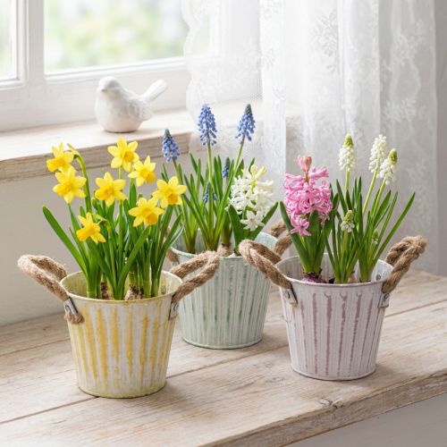 Cubo para plantar, maceta de metal con asas, macetero decorativo, rosa/verde/amarillo, estilo shabby chic, Ø12cm, H10cm, juego de 3 | Floristik24.es