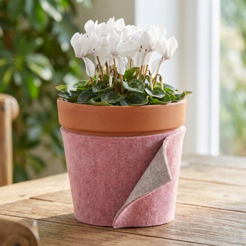 Cinta de fieltro, cinta para macetas bicolor rosa viejo/gris 15cm 5m | Floristik24.es