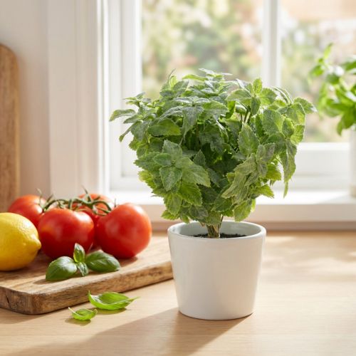 Verde artificial menta 25cm 12uds | Floristik24.es