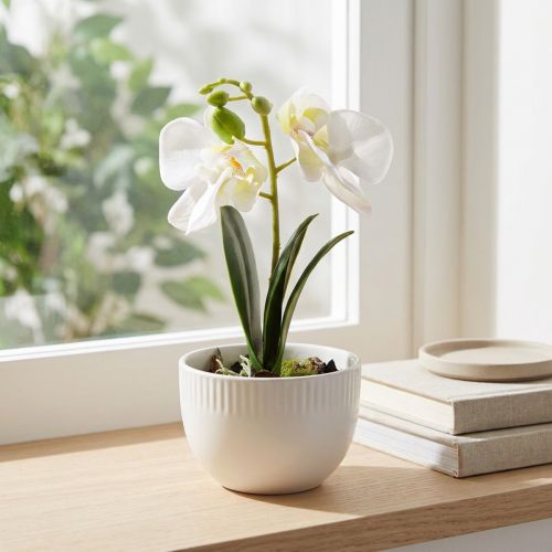 Mini orquídeas artificiales blancas en maceta 15cm | Floristik24.es