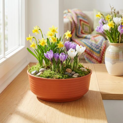 Cuenco Z de plástico Ø16cm 10 uds | Floristik24.es