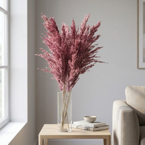 Hierba de caña seca, hierba decorativa seca, rosa antigua, 75 cm, 10 piezas | Floristik24.es