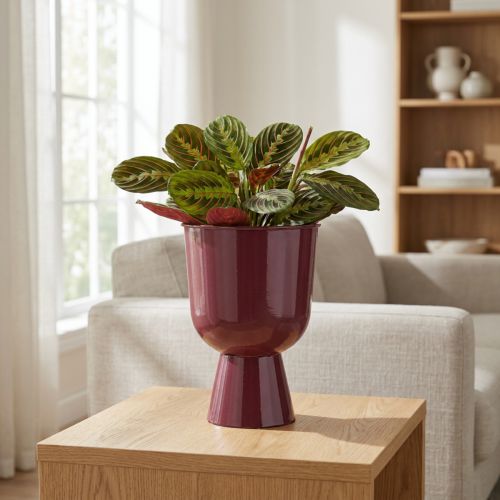 Maceta, forma de copa, estilo moderno, decorativa para cualquier hogar y oficina, 23cm | Floristik24.es