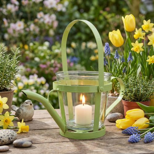 Regadera decorativa de vidrio farol metal verde Ø14cm H13cm | Floristik24.es