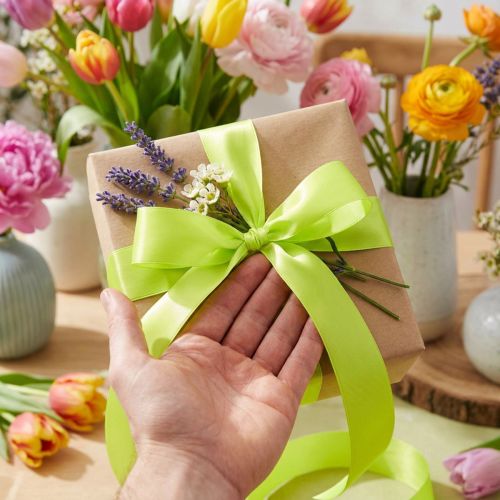 Cinta de regalo cinta verde lima 25mm 50m | Floristik24.es