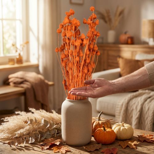 Flores secas cardo seco cardo fresa naranja 100g | Floristik24.es