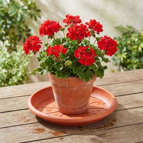 Posavasos “Linda” Ø33cm terracota | Floristik24.es