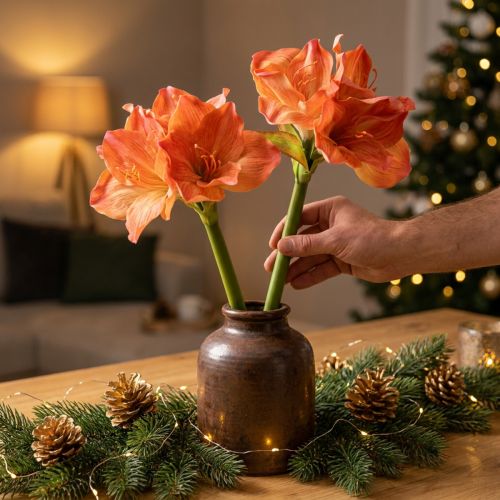 Artículo Amaryllis flores decorativas en naranja artificial L55cm 2ud
