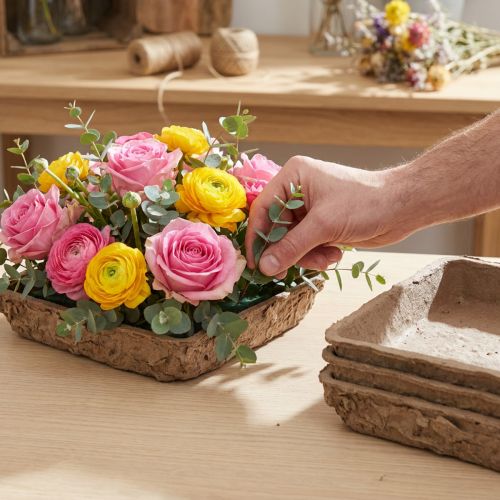 Oasis Biolit Basic Floral Foam 13x13x2cm Set de 12 piezas Decoración floral DIY | Floristik24.es