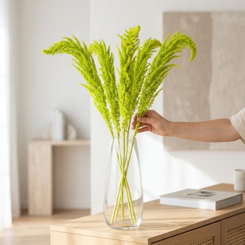 Flores secas de amaranto teñidas para decoración del hogar y acentos únicos 100 cm, 5 pzs | Floristik24.es