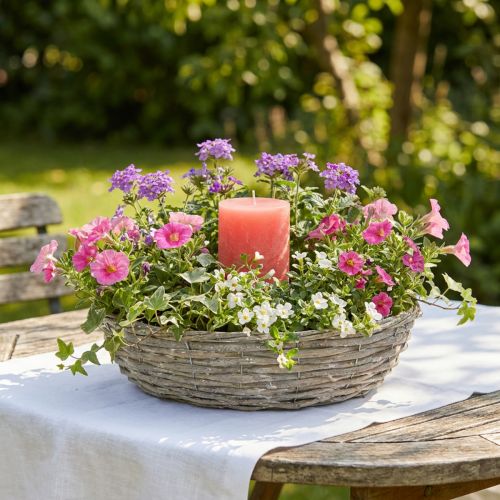 Maceta de mimbre, blanca, aspecto natural, anillo decorativo para diseño de jardín creativo, Ø35/30 cm, juego de 2, versátil | Floristik24.es