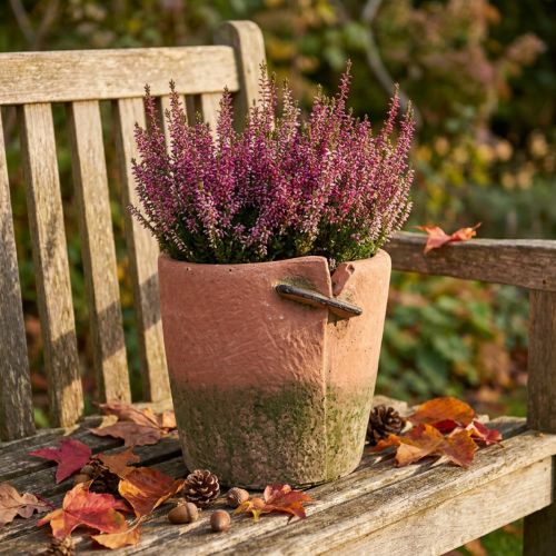 Macetero de hormigón macetero de terracota Ø18cm H17cm | Floristik24.es