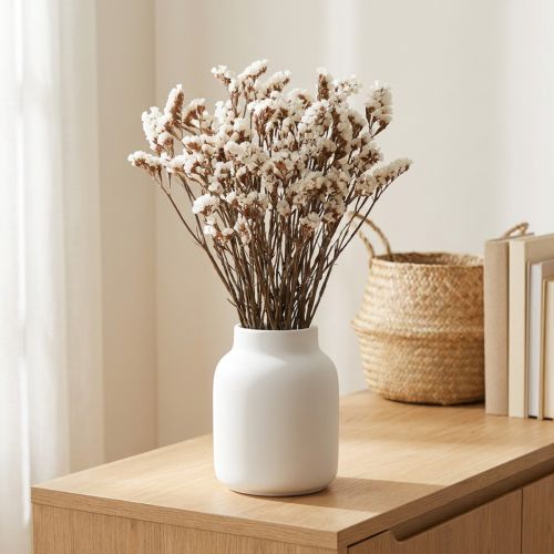 Flores secas de lavanda marina blanca (Limonium), 60 cm, 35 g | Floristik24.es