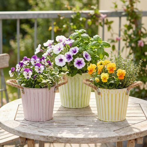 Cubo para plantar, maceta con asas, decoración metálica rosa/verde/amarillo estilo shabby chic Ø16,5cm H15cm Juego de 3 piezas | Floristik24.es