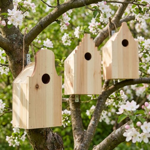 Artículo Pajarera Caja de madera para cría Abeto herrerillo azul Al. 22,5 cm 3 piezas