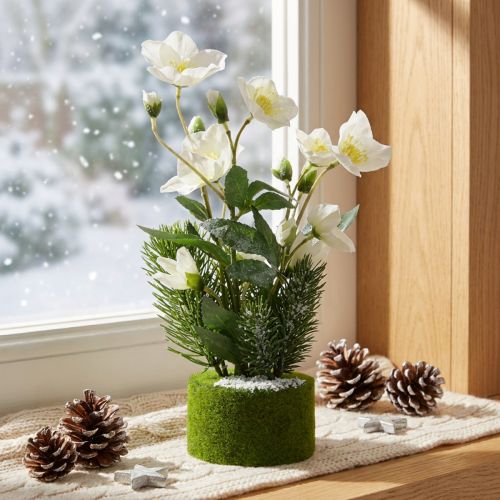 Rosa navideña con abeto y bola de musgo, artificial, cubierta de nieve blanca, 33 cm. | Floristik24.es