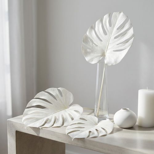 Artículo Hojas de monstera blanqueadas, decorativas para ventanas, 40 cm de alto, 5 unidades