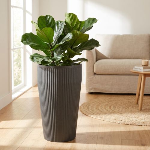 Macetero de suelo de plástico antracita Ø28cm H46,5cm | Floristik24.es